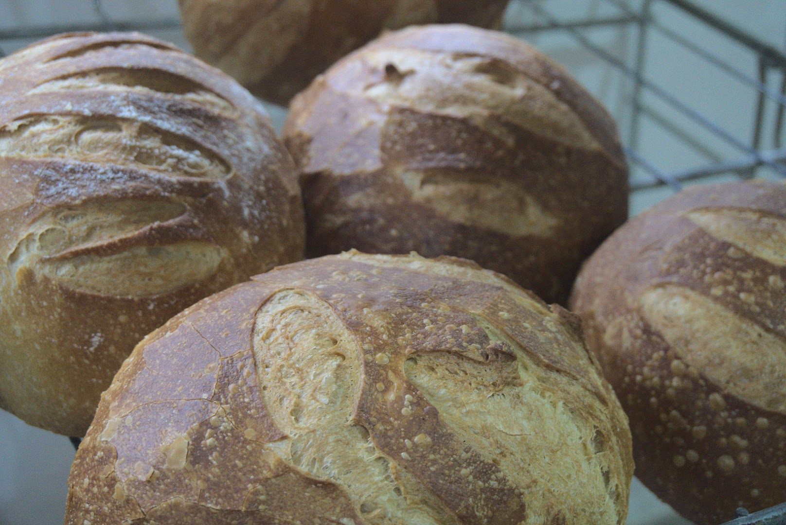 Boulangerie Pâtisserie Patrice SOULABAILLE · Photos 3